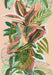 Ruby Rubber Jungle Giclée Art Print WallFlowers Art Print