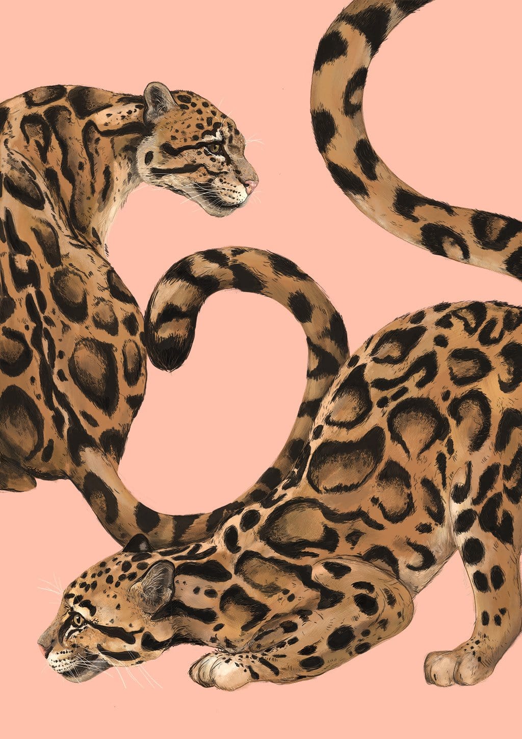 Clouded Elegance Giclée Art Print Leovely Leopards Art Print