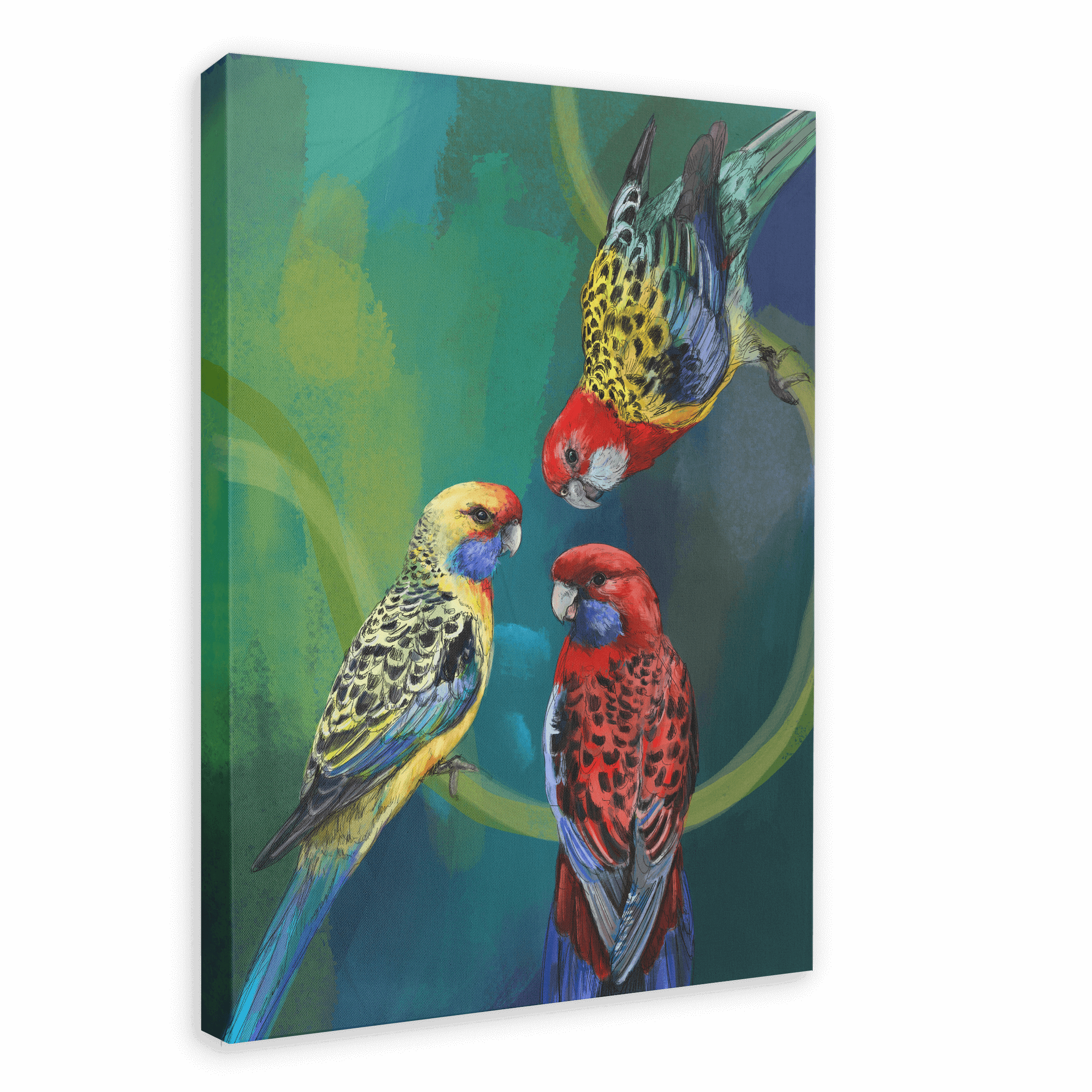 Rondel Of Rosellas Canvas Print The Gathering 28"x40"(70x100 cm) Canvas Print