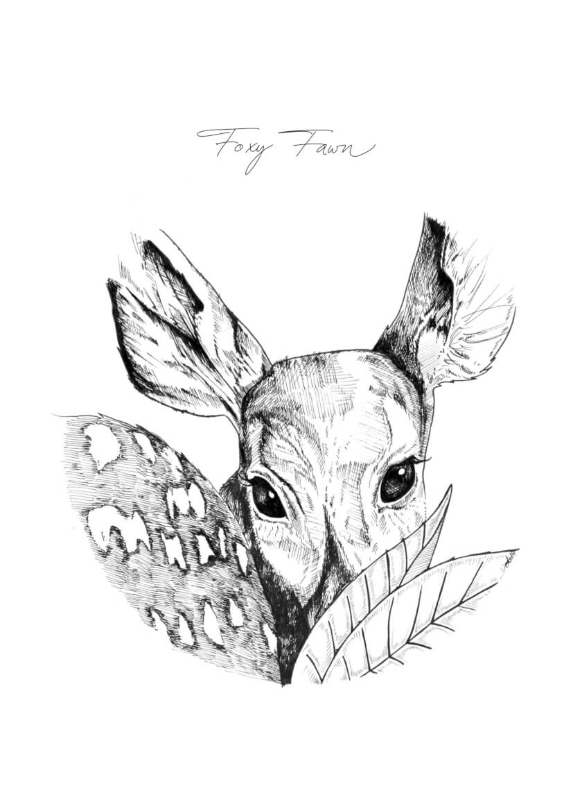 Foxy Fawn Matte Art Print Ink Drawings A5 (14.8 X 21 cm) Art Print