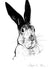 Skeptical Hare Matte Art Print Ink Drawings A5 (14.8 X 21 cm) Art Print