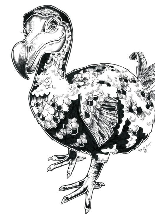 Dodo Matte Art Print Ink Birds A5 (14.8 X 21 cm) Art Print