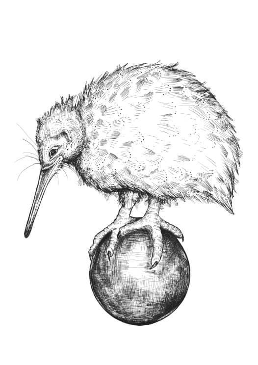 Kiwi Sanity Matte Art Print Ink Drawings A5 (14.8 X 21 cm) Art Print