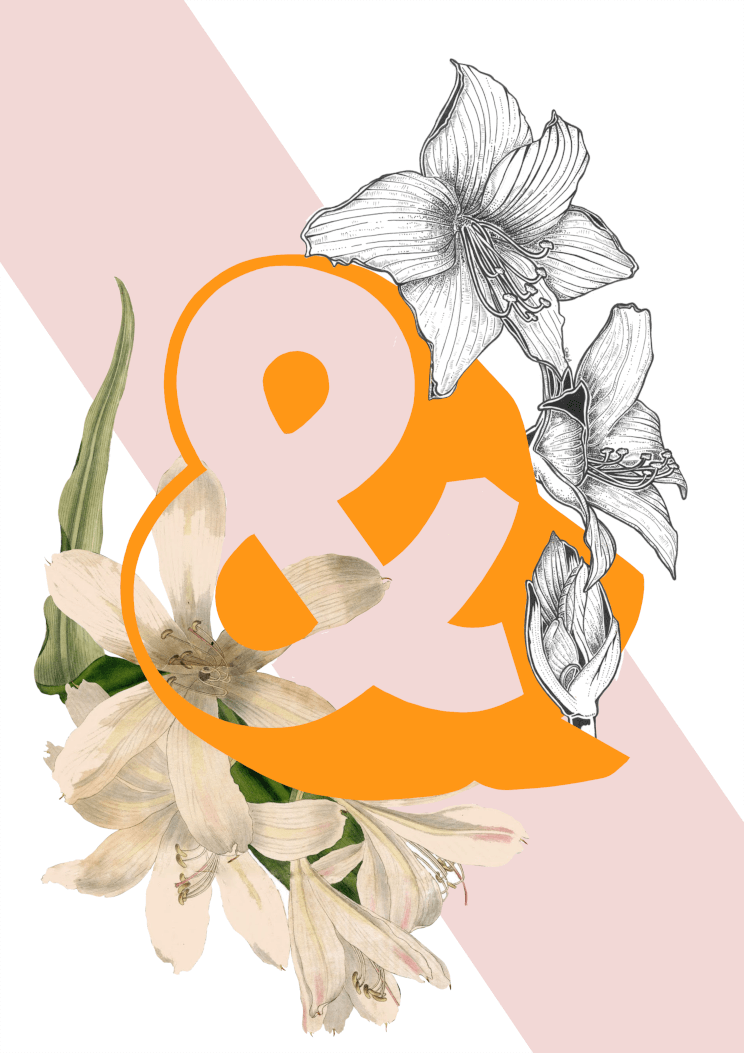 Botanical Alphabet & Matte Art Print Botanical Alphabet Art Print