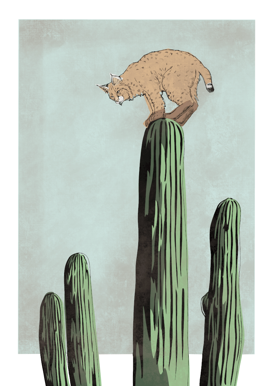 Bobcatctus Blue Matte Art Print Catctus Art Print