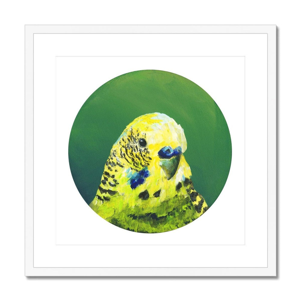Green Budgie Framed & Mounted Print Exotic Bird Paintings 20"x20" / White Frame Mounted Print