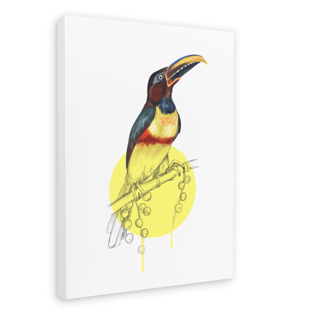 Chestnut Eared Araçari Canvas Print Drippy Birds 28"x40"(70x100 cm) Canvas Print