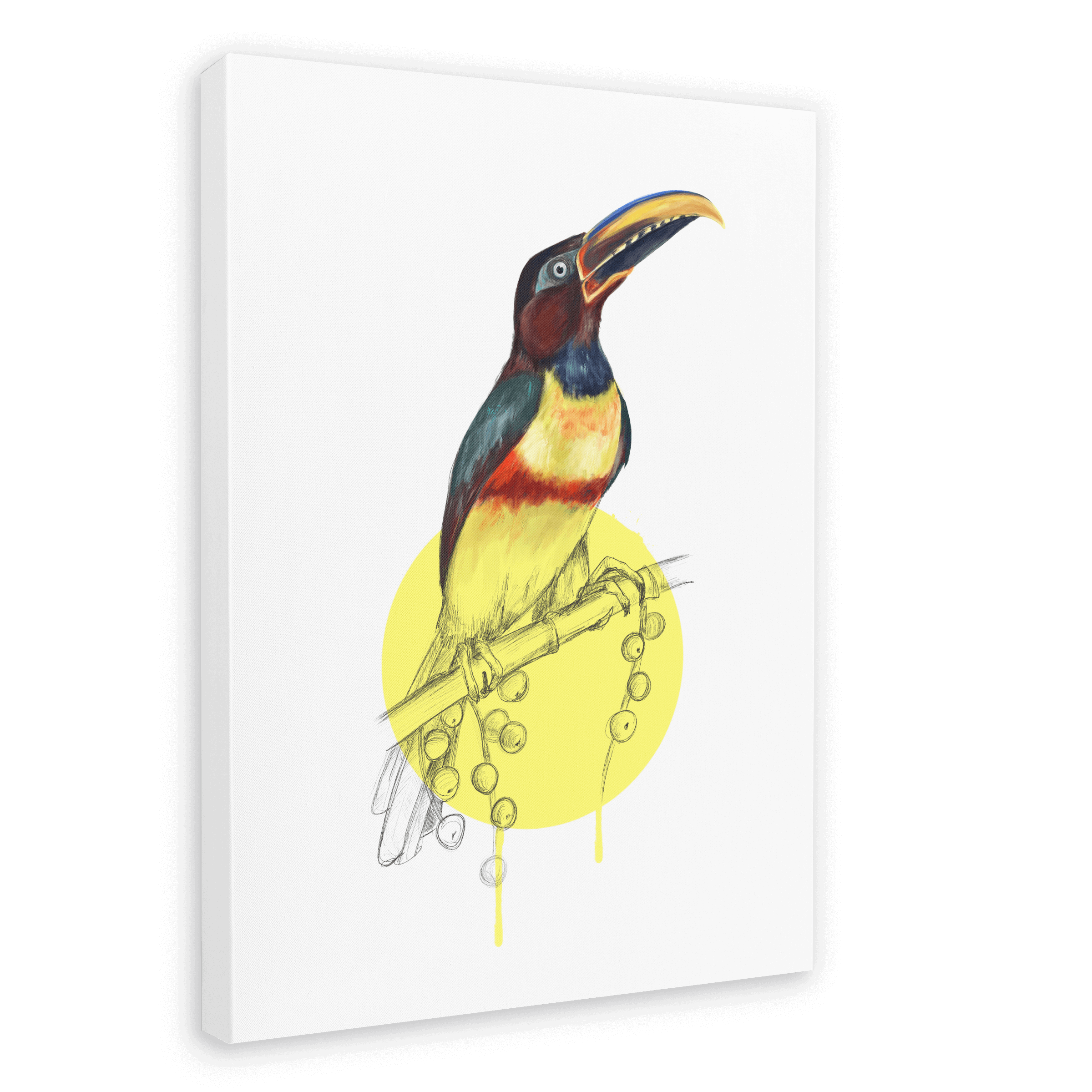 Chestnut Eared Araçari Canvas Print Drippy Birds 28"x40"(70x100 cm) Canvas Print