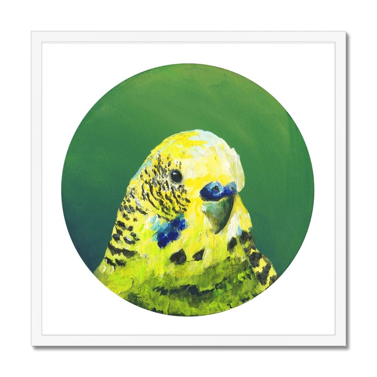Green Budgie Framed Print Exotic Bird Paintings 20"x20" / White Frame Framed Print