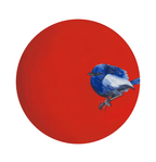 Fairy Wren Giclée Art Print Exotic Bird Paintings 8" Square (20.32 X 20.32 cm) Square GIclee Art Print