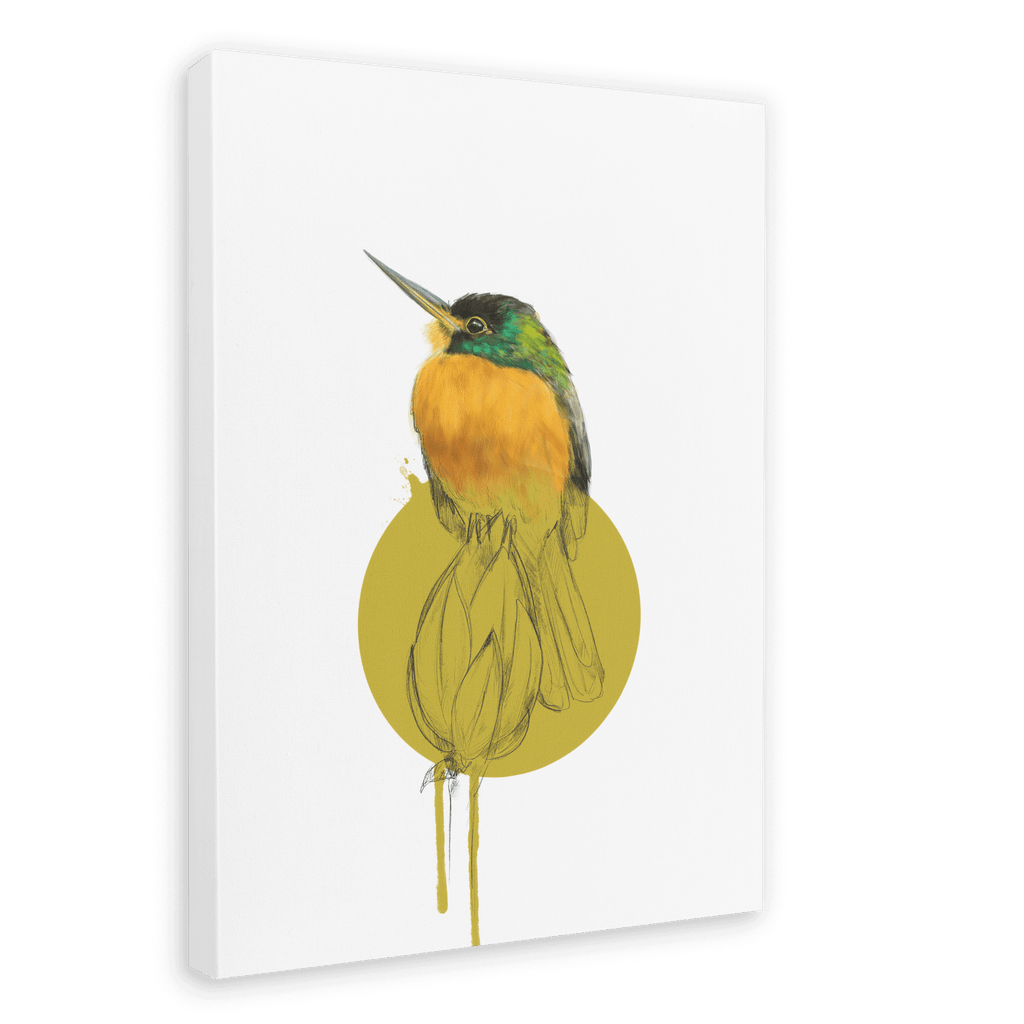Blue Cheeked Jacamar Canvas Print Drippy Birds 28"x40"(70x100 cm) Canvas Print