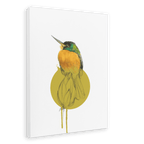 Blue Cheeked Jacamar Canvas Print Drippy Birds 28"x40"(70x100 cm) Canvas Print