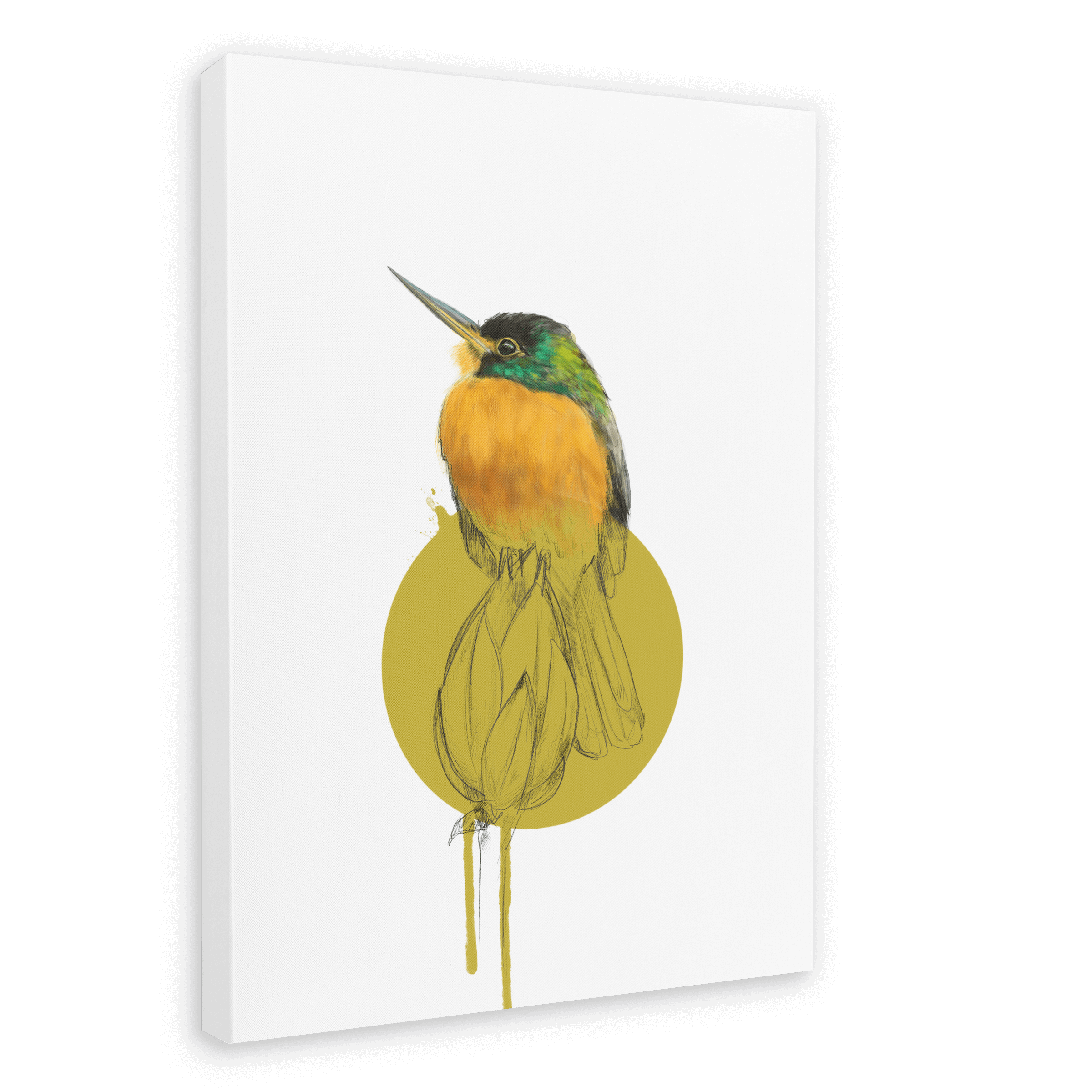 Blue Cheeked Jacamar Canvas Print Drippy Birds 28"x40"(70x100 cm) Canvas Print