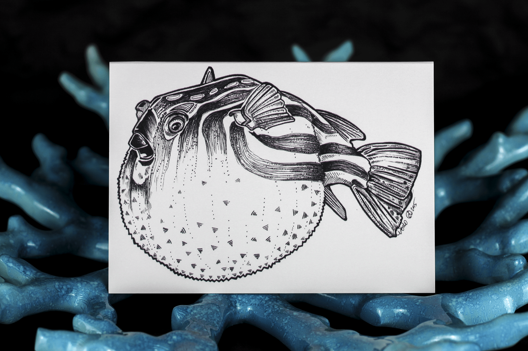 Sea Creatures Greeting Card Set Card Set Card Set