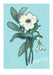 January Birthday Bloom Greeting Card Birthday Blooms Greeting Cards Greeting Card