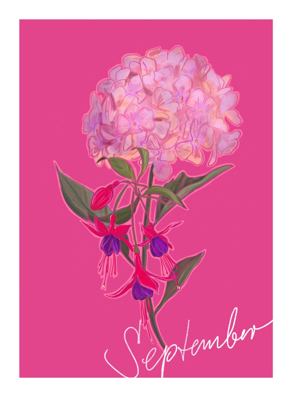 September Birthday Bloom Greeting Card Birthday Blooms Greeting Cards Greeting Card