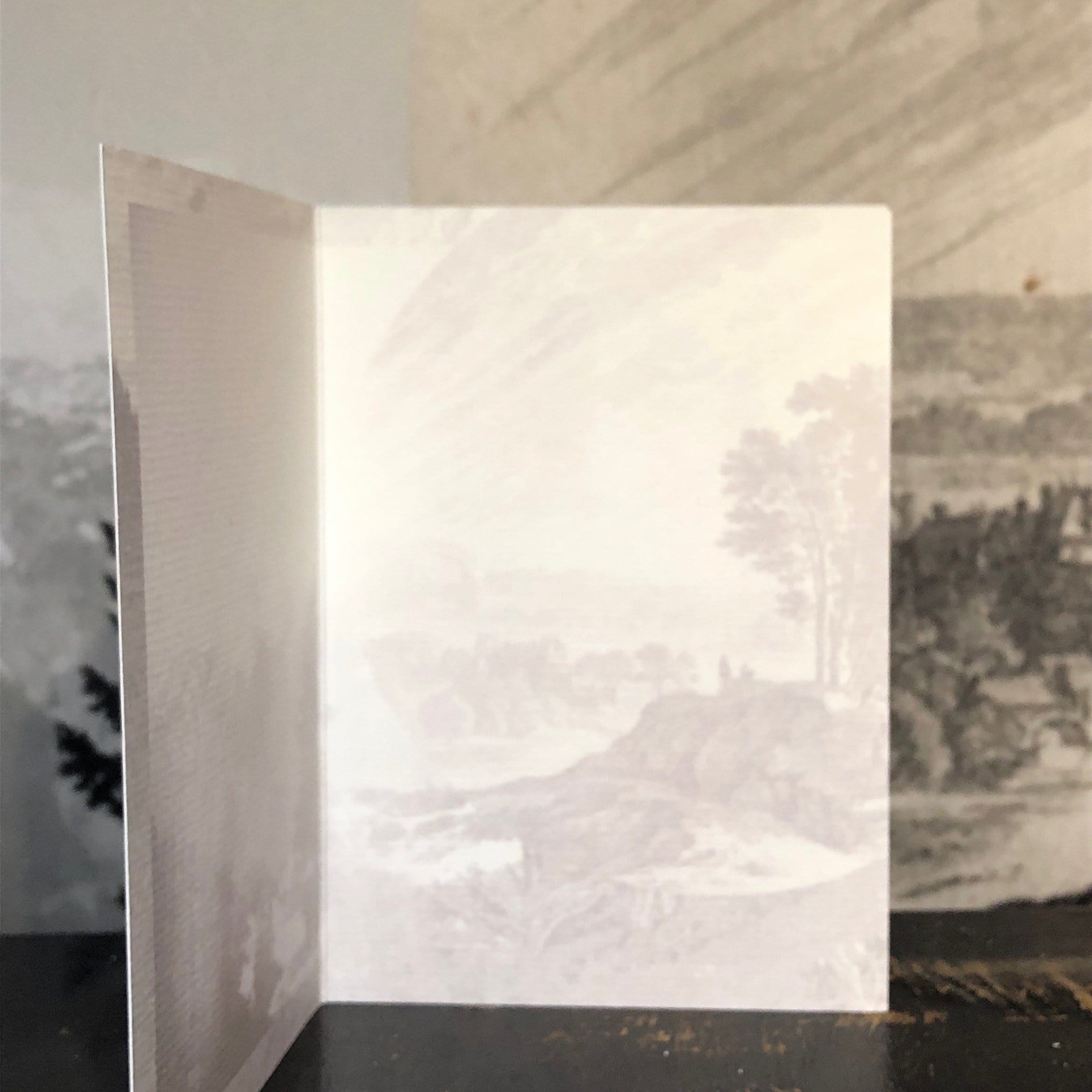 Blue Toile Bitches Be Partying Greeting Card Victoriana Greeting Cards Card