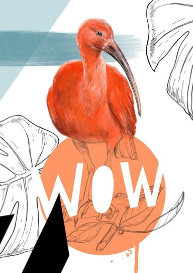 Scarlet Ibis - Wow Greeting Card Beaky Blooms Greeting Cards Card