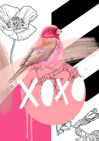 Rose Finch XOXO Greeting Card Beaky Blooms Greeting Cards Card