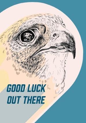 Good Luck Falcon Greeting Card Forest Fam Greeting Cards Card