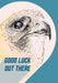 Good Luck Falcon Greeting Card Forest Fam Greeting Cards Card