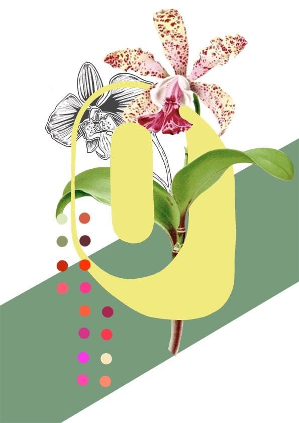 Botanical Alphabet O Greeting Card Botanical Alphabet Greeting Cards Card