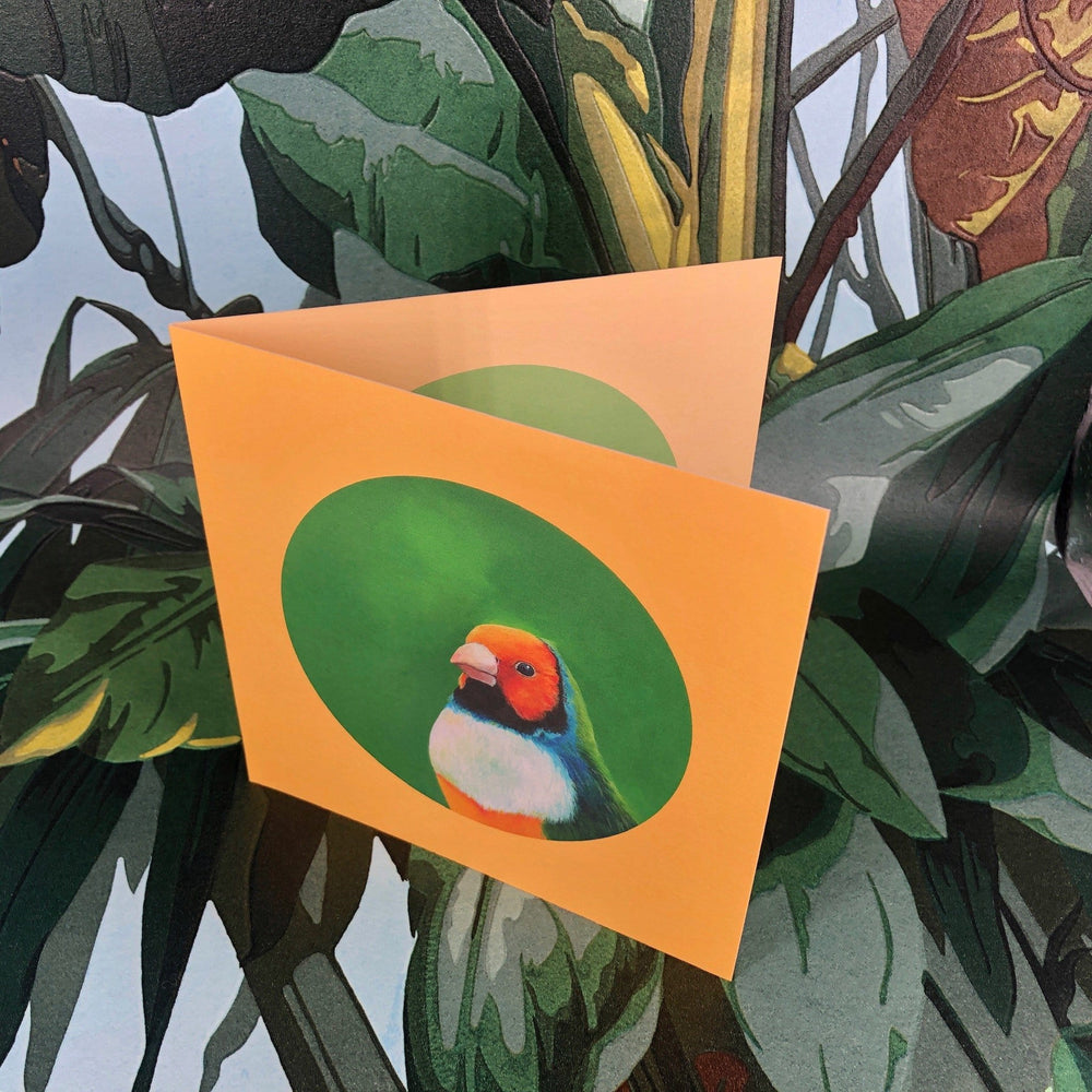 Gouldian Finch Greeting Card Exotic Bird Greeting Cards Square Card Gouldian FInch Greeting Card