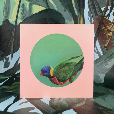 Rainbow Lorikeet Greeting Card Exotic Bird Greeting Cards Square Card