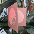 Cockatiel Greeting Card Exotic Bird Greeting Cards Square Card