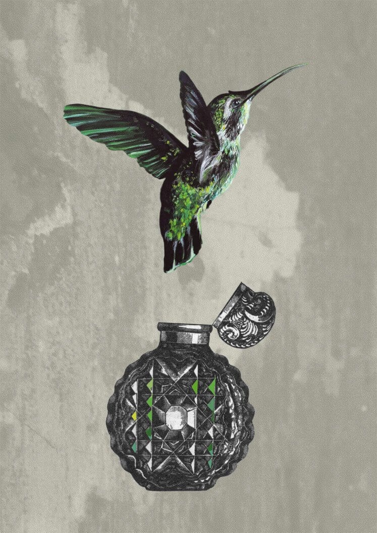 Hummingbird Perfume Matte Art Print Collage Corner A5 (14.8 X 21 cm) Art Print