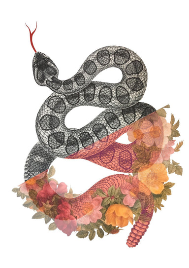 Wreath Snake Matte Art Print Snakes & Adders Art Print