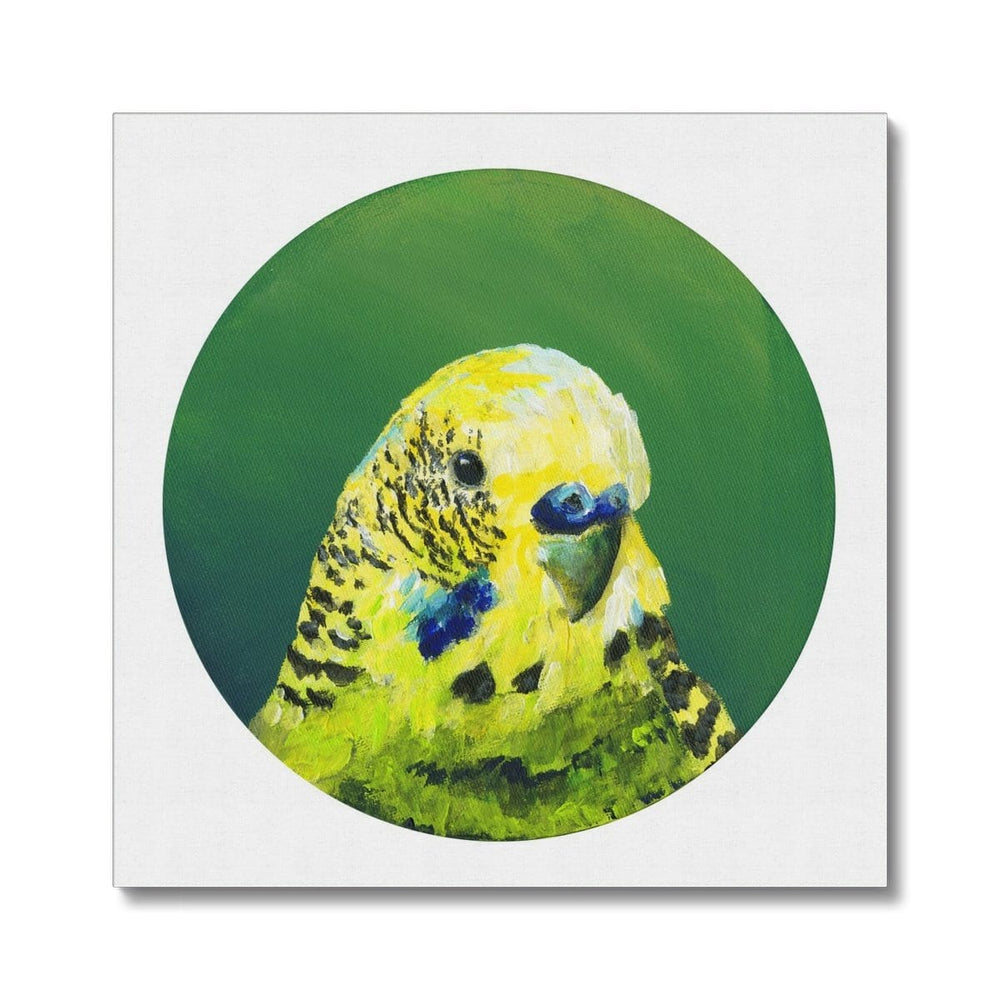 Green Budgie Canvas Print Exotic Bird Paintings Canvas Print