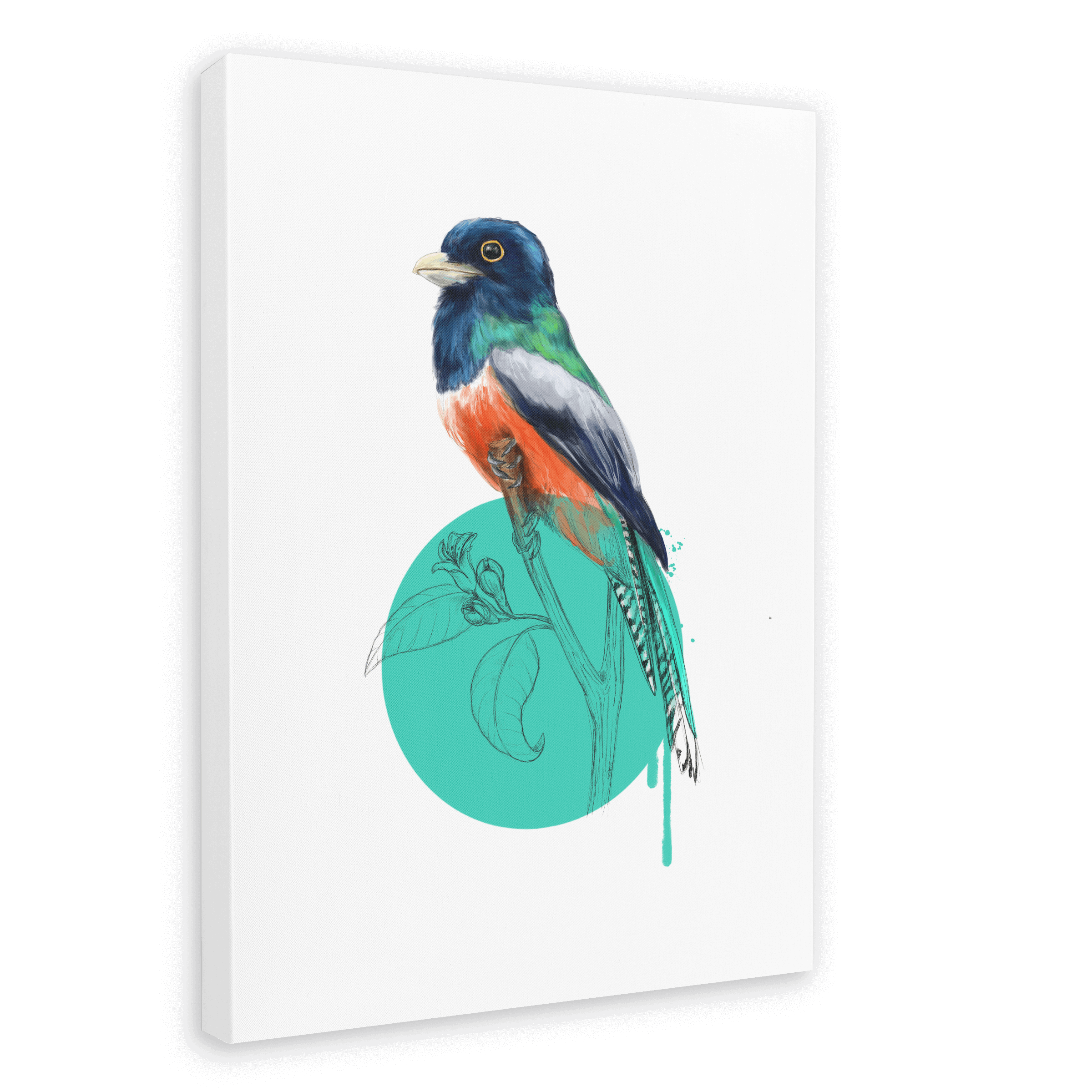 Blue Crowned Trogon Canvas Print Drippy Birds 28"x40"(70x100 cm) Canvas Print