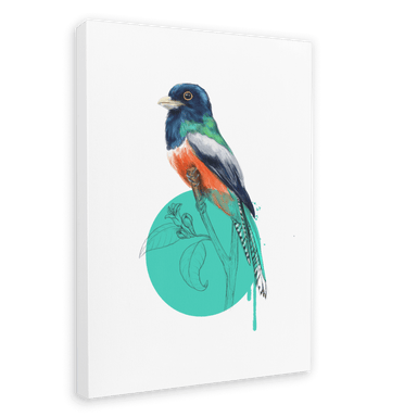 Blue Crowned Trogon Canvas Print Drippy Birds 28"x40"(70x100 cm) Canvas Print
