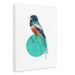 Blue Crowned Trogon Canvas Print Drippy Birds 28"x40"(70x100 cm) Canvas Print