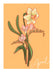 April Birthday Bloom Greeting Card Birthday Blooms Greeting Cards Greeting Card