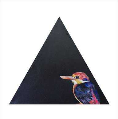 Asian Kingfisher Giclée Art Print Exotic Bird Paintings 8" Square (20.32 X 20.32 cm) Square GIclee Art Print