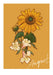 August Birthday Bloom Greeting Card Birthday Blooms Greeting Cards Greeting Card