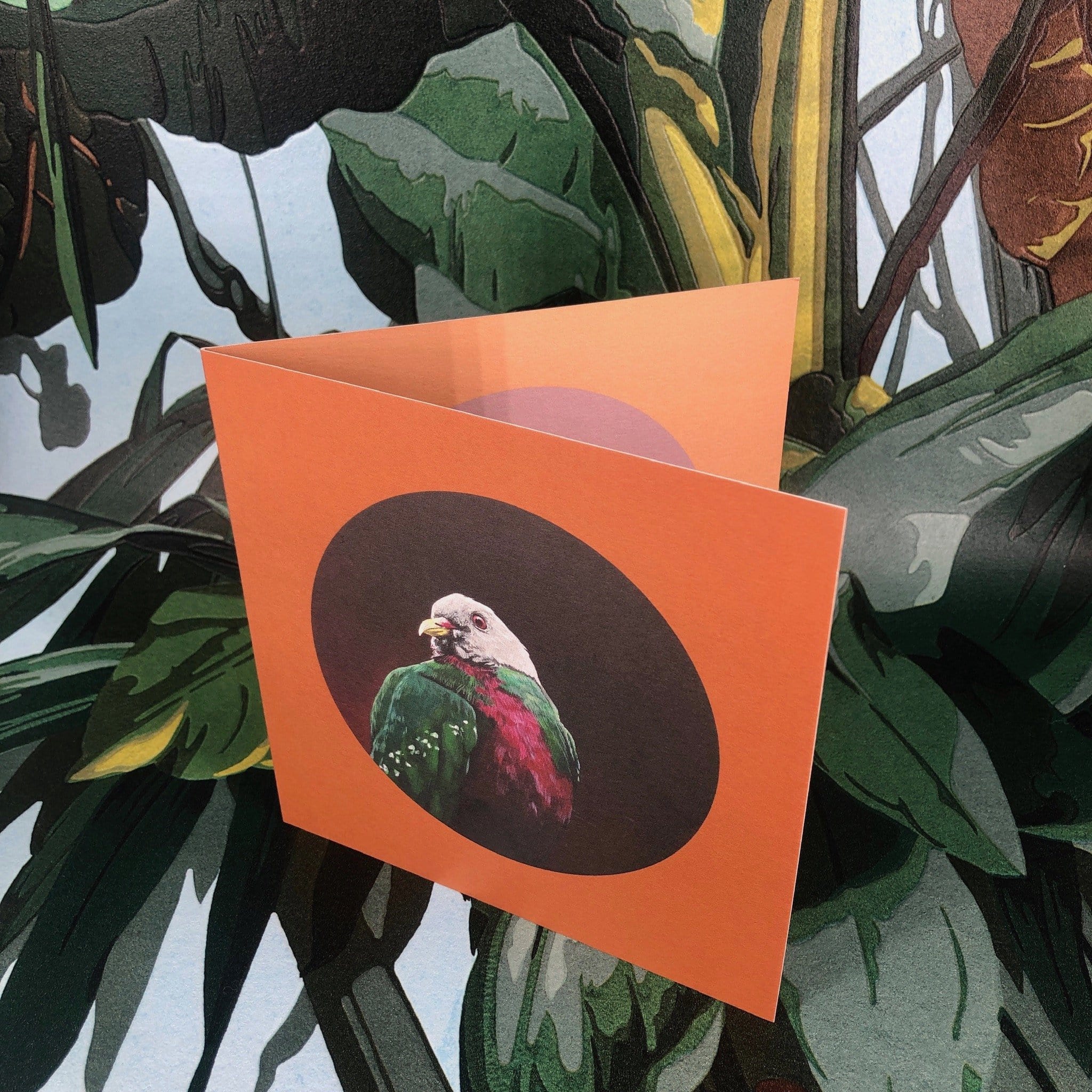 Wompoo Fruit Dove Greeting Card Exotic Bird Greeting Cards Square Card