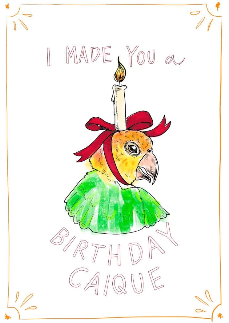 Birthday Caique Greeting Card Food Fur & Feathers Card