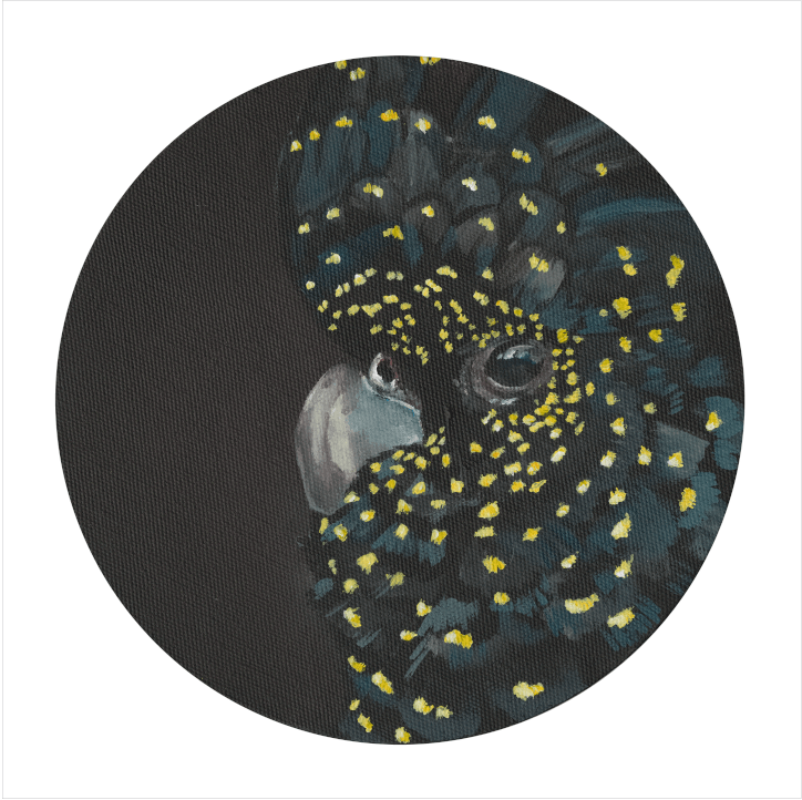 Black Cockatoo Giclée Art Print Exotic Bird Paintings 8" Square (20.32 X 20.32 cm) Square GIclee Art Print