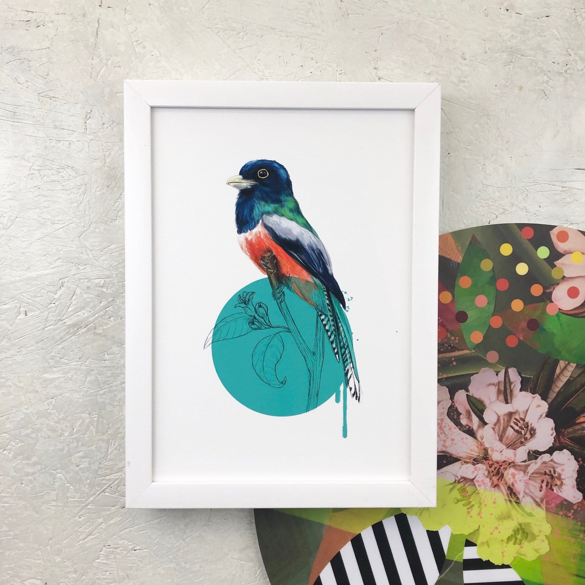 Blue Crowned Trogon Giclée Art Print Drippy Birds Art Print