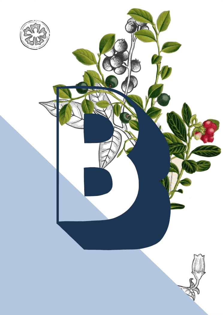 Botanical Alphabet Postcards Botanical Alphabet B Postcard