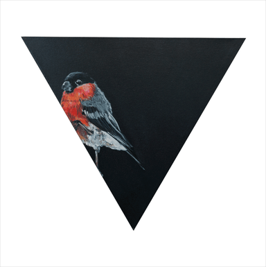 Bullfinch Giclée Art Print Exotic Bird Paintings 8" Square (20.32 X 20.32 cm) Square GIclee Art Print