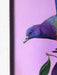 Plump Pigeon Giclée Art Print Sticky Beaks Art Print