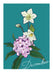 December Birthday Bloom Greeting Card Birthday Blooms Greeting Cards Greeting Card
