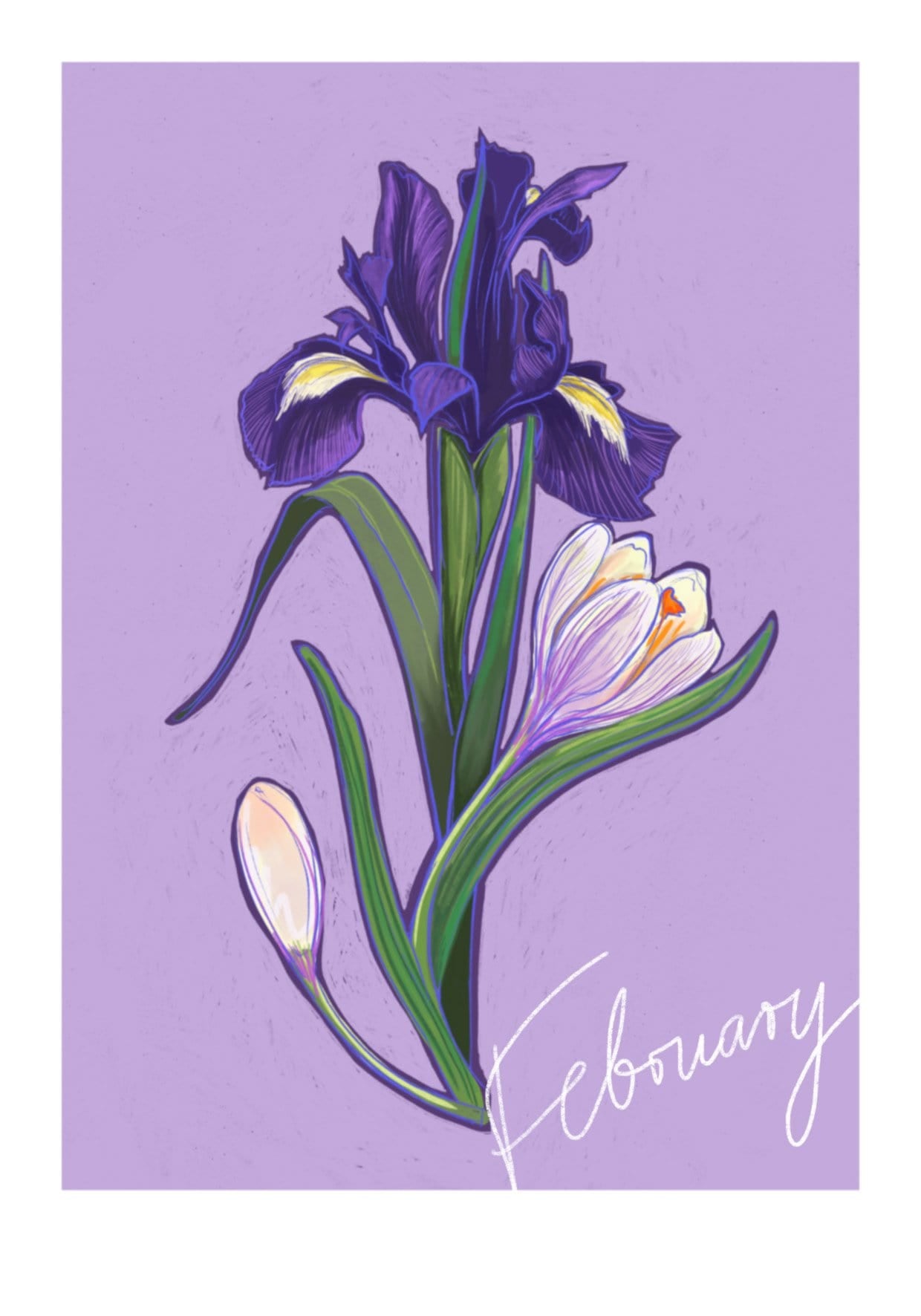 February Birthday Bloom Greeting Card Birthday Blooms Greeting Cards Greeting Card