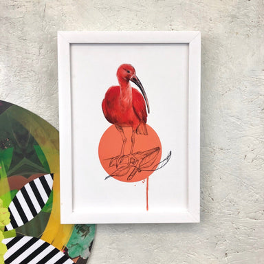 Scarlet Ibis Giclée Art Print Drippy Birds Art Print