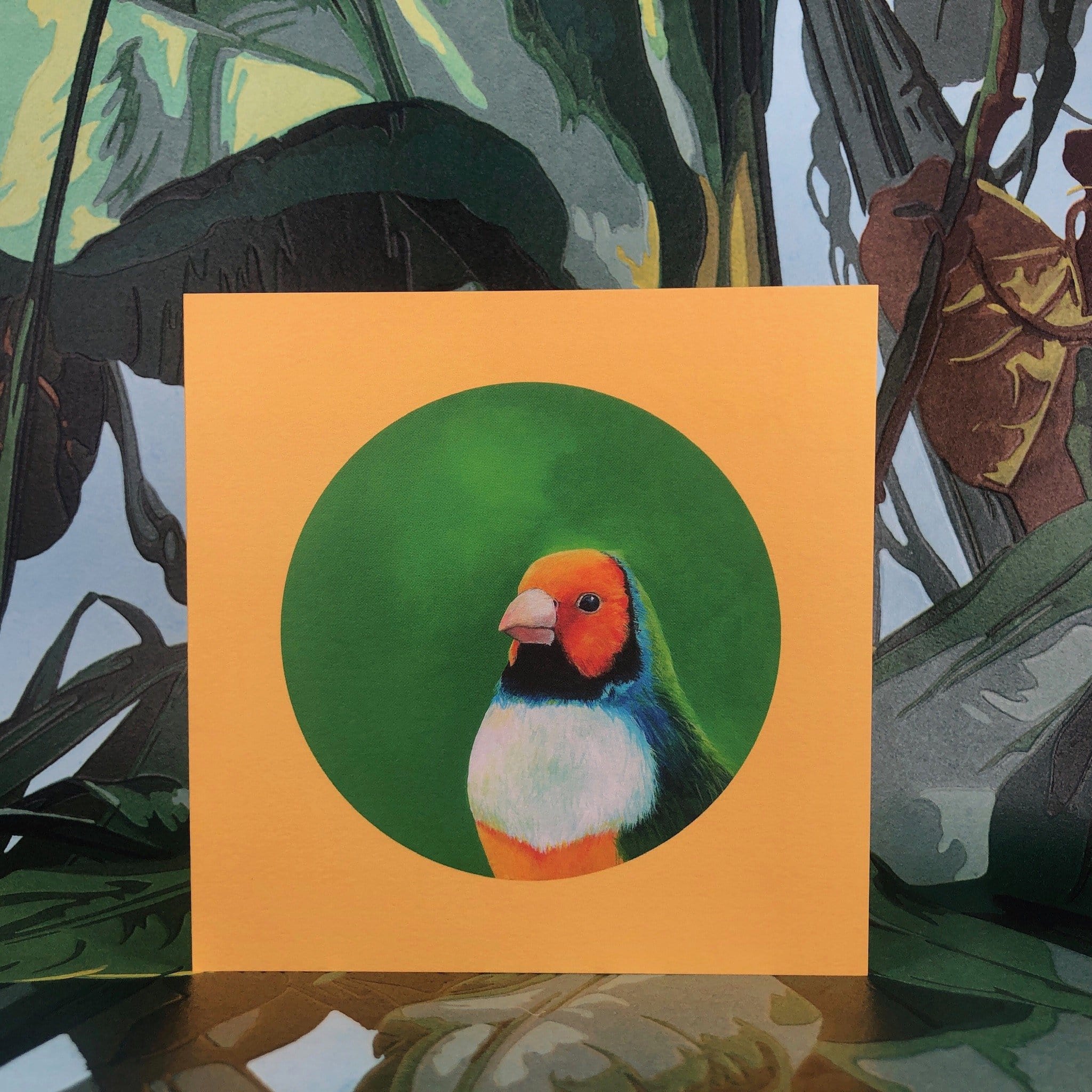 Gouldian Finch Greeting Card Exotic Bird Greeting Cards Square Card Gouldian FInch Greeting Card
