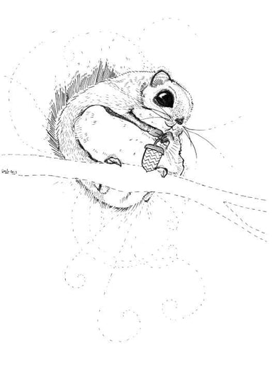 Japanese Squirrel Matte Art Print Ink Drawings A5 (14.8 X 21 cm) Art Print